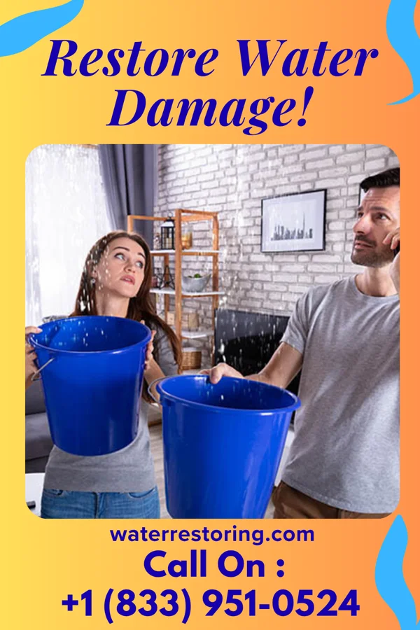 water restoration Apex Disaster Cleanup Contractors Leechburg