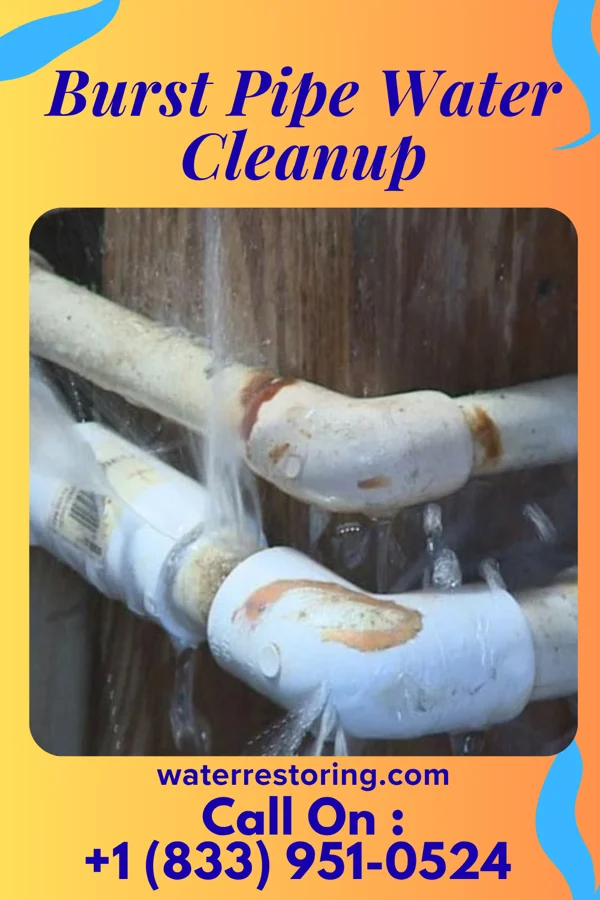 Burst Pipe Water Cleanup in Leechburg, PA