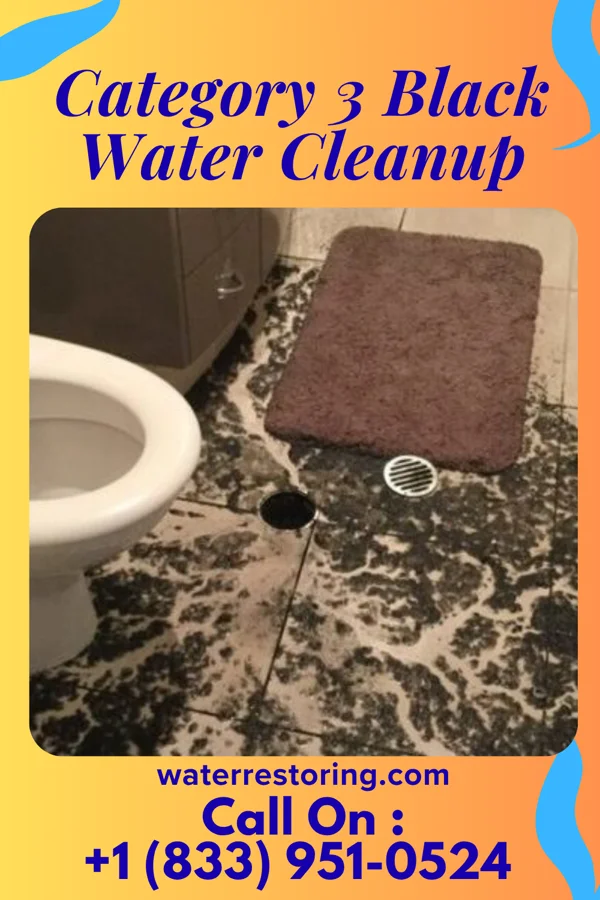 Category 3 Black Water Cleanup in Leechburg, PA