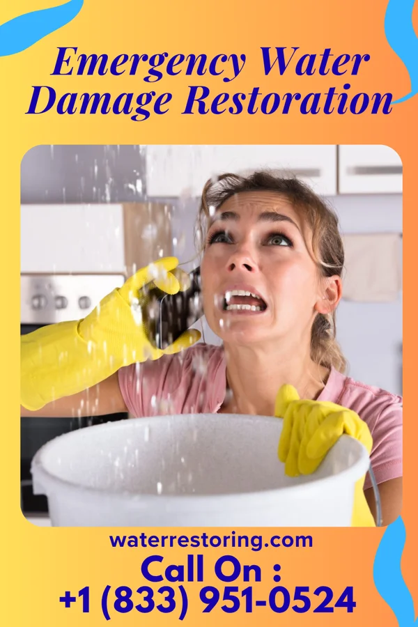 Emergency Water Damage Restoration in Leechburg, PA