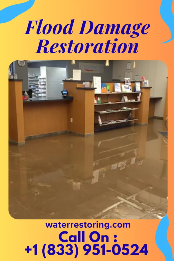 Flood Damage Restoration in Leechburg, PA