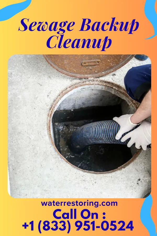 Sewage Backup Cleanup in Leechburg, PA