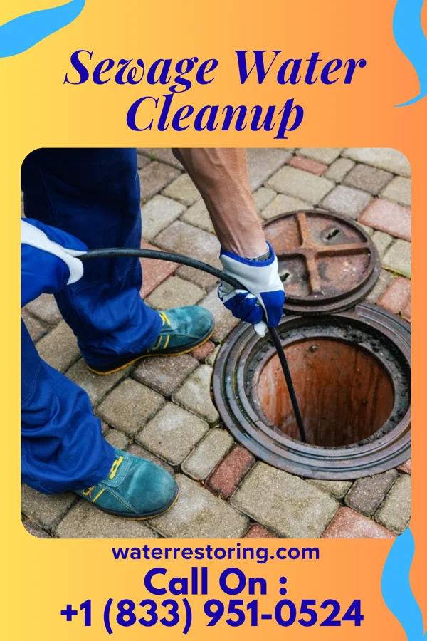 Sewage Water Cleanup in Leechburg, PA