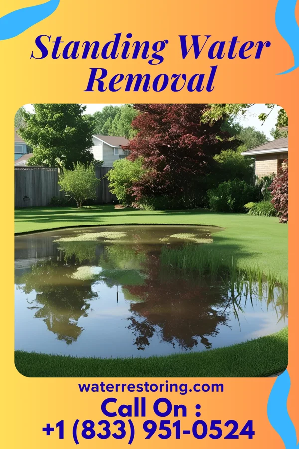 Standing Water Removal in Leechburg, PA